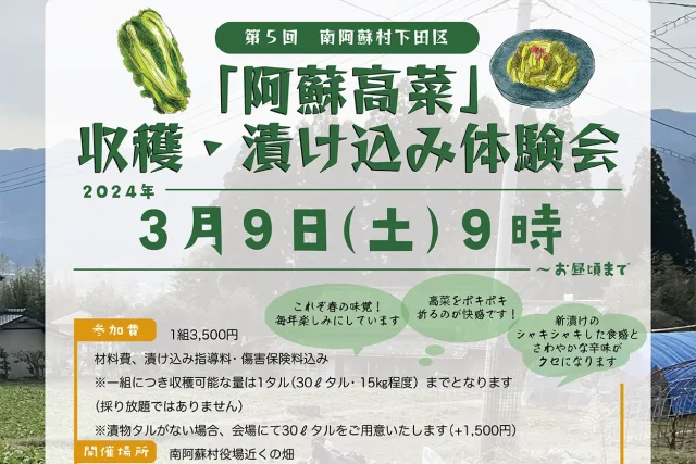 第5回 南阿蘇村下田区 「阿蘇高菜」 収穫・漬け込み体験会