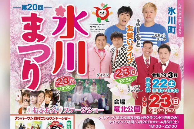 第20回 氷川まつり