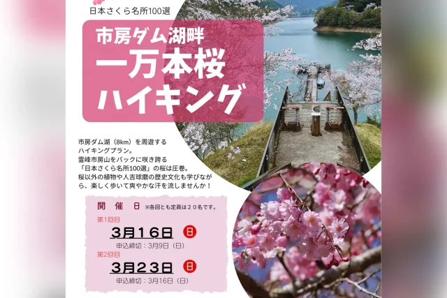 2025年 市房ダム湖一万本桜ハイキング