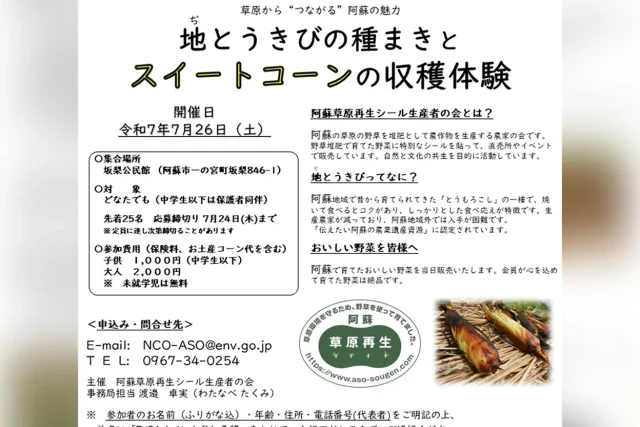 地とうきびの種まきとスイートコーンの収穫体験