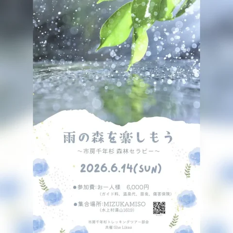 雨の森を楽しもう！ 〜市房千年杉 森林セラピー〜