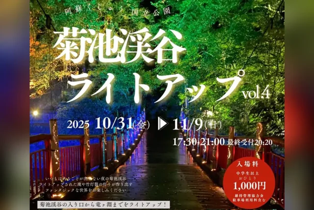 菊池渓谷ライトアップ vol.4