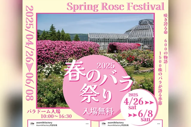 春のバラ祭り2025 in ASO MILK FACTORY