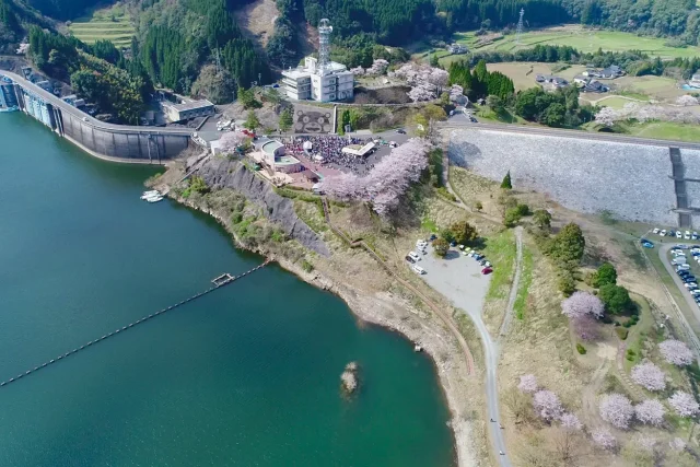 2026 さくら健康フェスタ in 美里