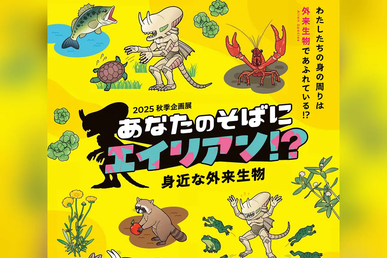 あなたのそばにエイリアン⁉―身近な外来生物―