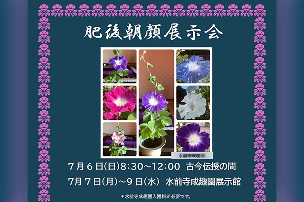 肥後朝顔展示会