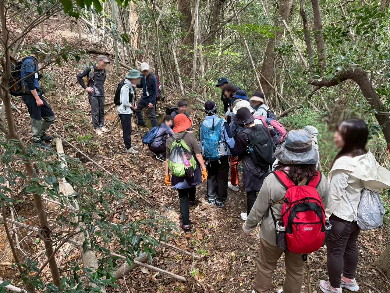 秋の木葉山トレッキングツアー【木葉山山頂往復コース】