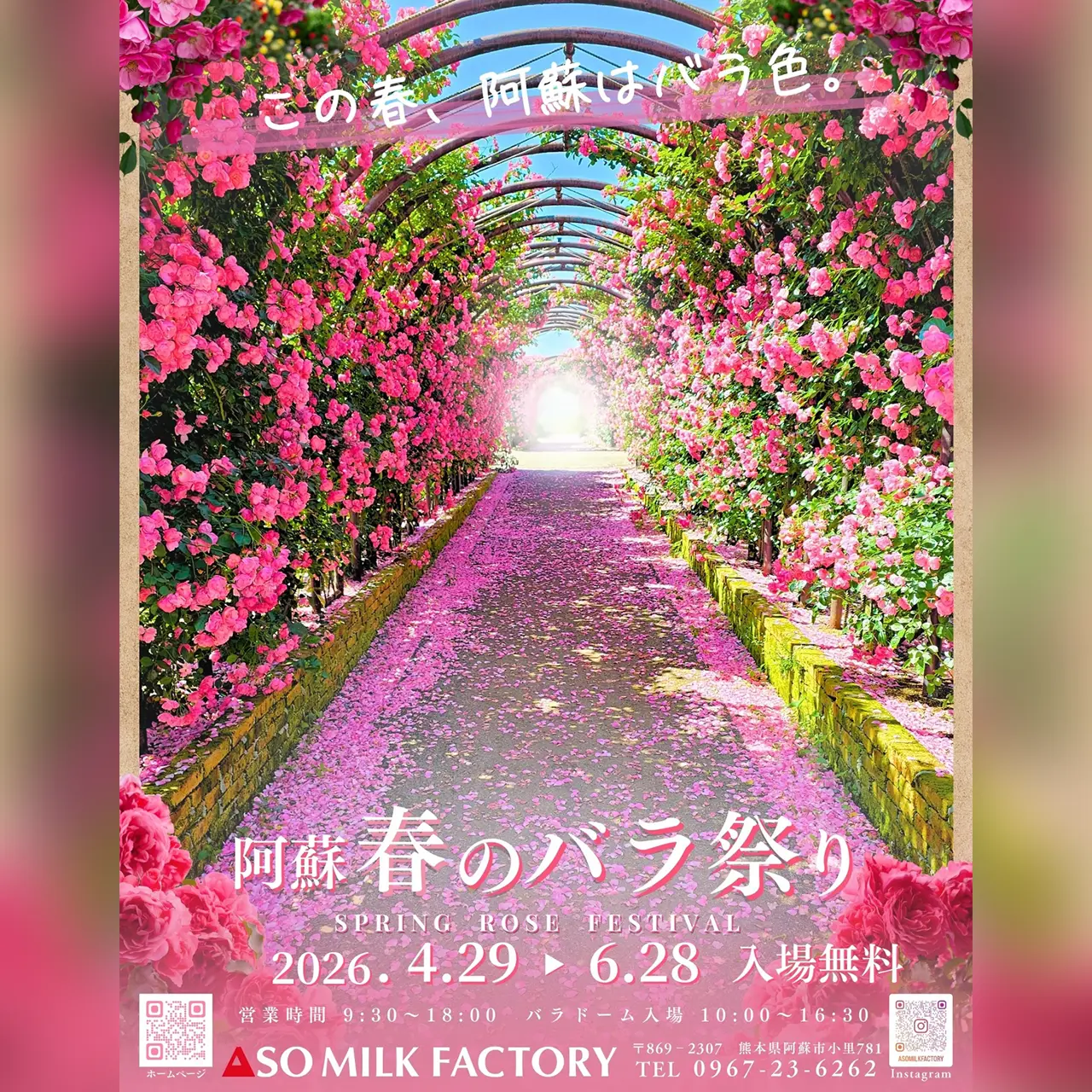 阿蘇 春のバラ祭り 2026