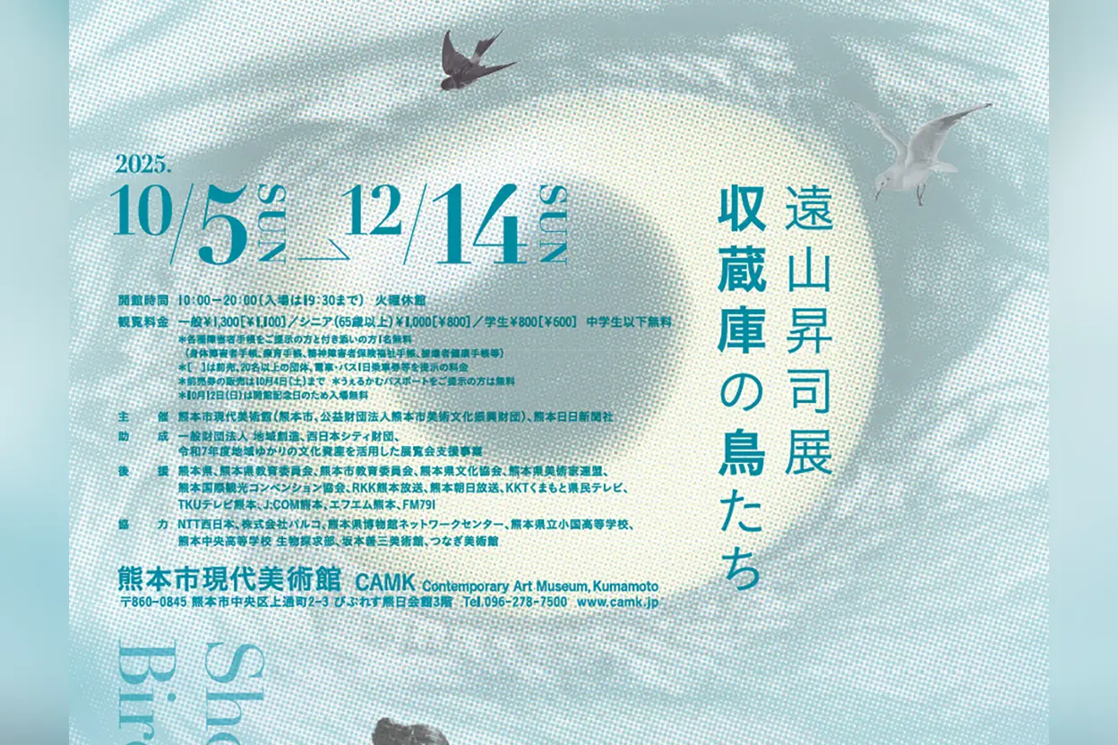 遠山昇司展 収蔵庫の鳥たち