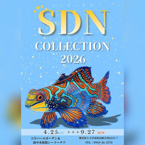 特別展「SDNコレクション 2026」