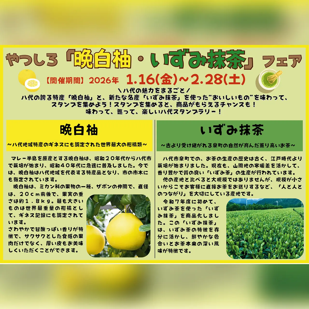 やつしろ『晩白柚・いずみ抹茶』フェア