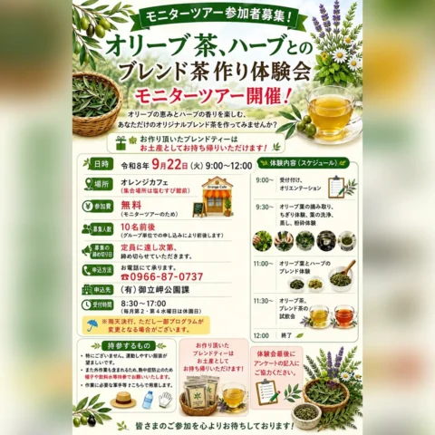 オリーブ茶とハーブのブレンド茶作り体験会