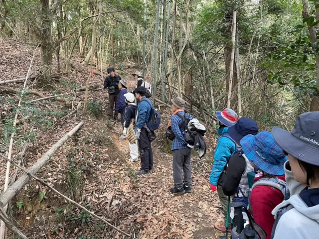 秋の木葉山トレッキングツアー【三峰周回コース（木葉山、高塚山、松ケ平山）】