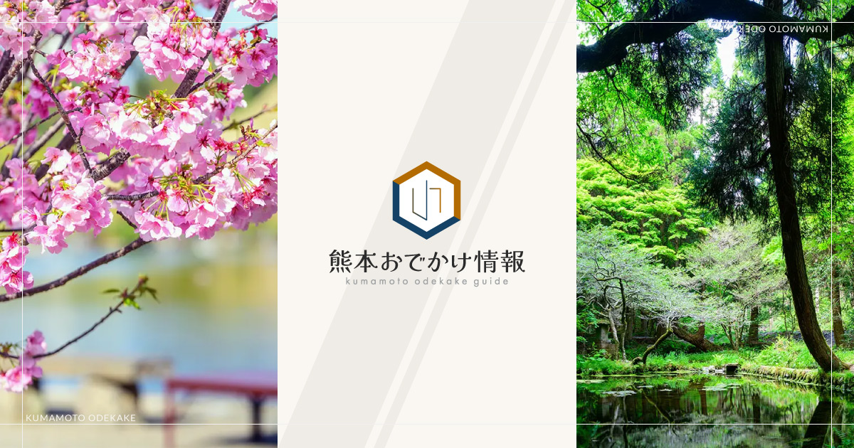 健軍自衛隊通り桜まつり 2027